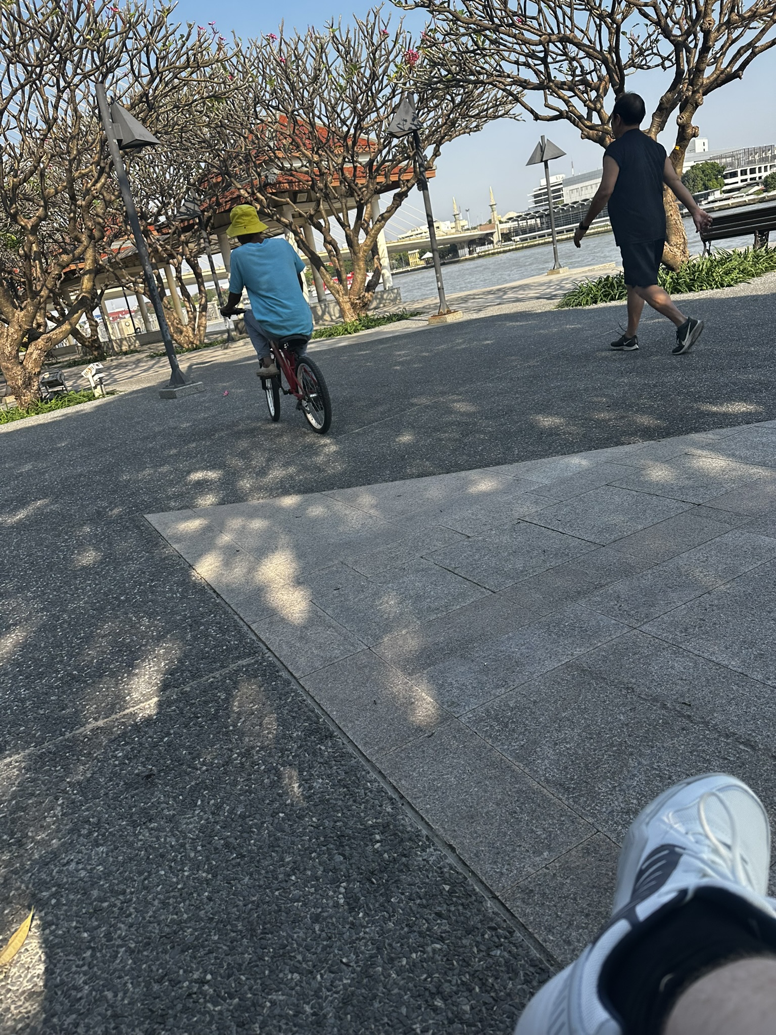 1BC7FA58-BD1C-4F43-97BB-53C3FA36C494_1_102_o.jpeg|400