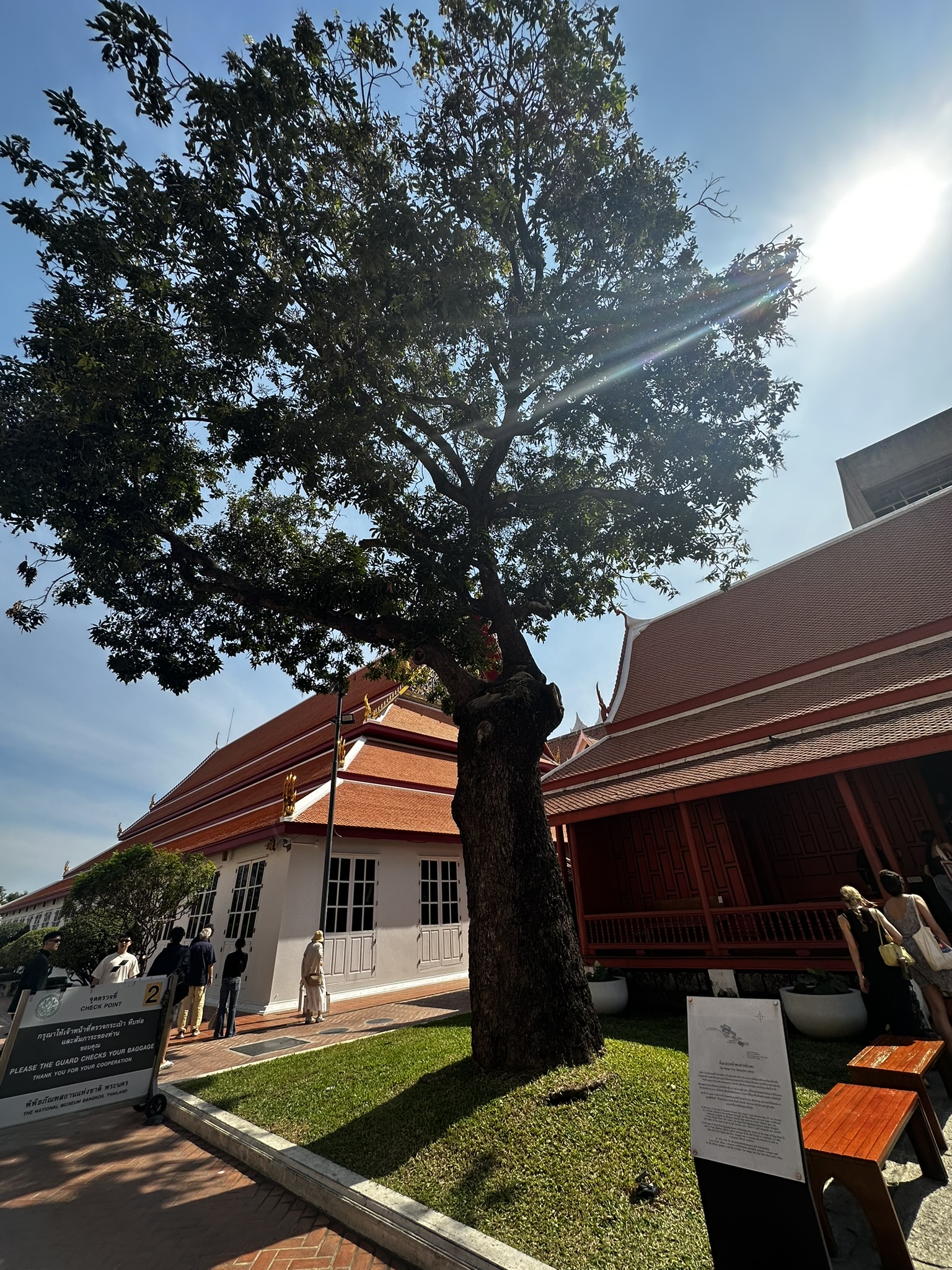 3F3865EF-5F86-4847-A655-46B4F71C9074_1_102_o.jpeg|400