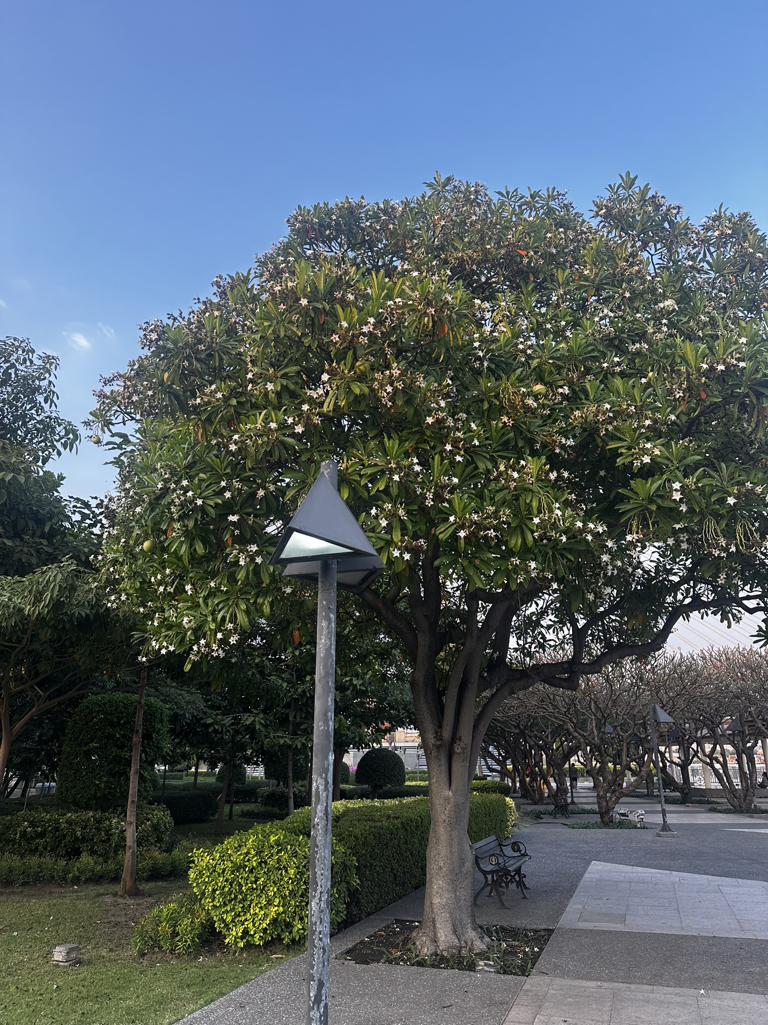 FC26F49D-A33A-4F63-A210-A953F37B9BDA_1_102_o.jpeg|400